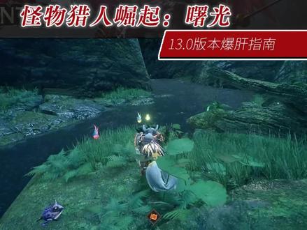 怪猎曙光13.0版本都更新了些啥?#任天堂switch #怪物猎人崛起 #怪物猎人