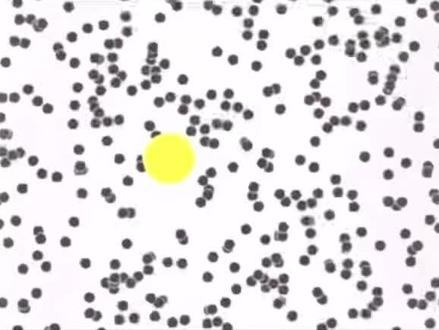 为什么你摸热水会有疼的感觉?#分子热运动#布朗运动