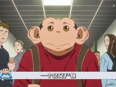 果然,我们接受不了外来物种。 一个杂交产物,竟妄想取代人类统治世界?这个比黑猩猩长得还丑的玩意,也是当上动漫男主了,真搞不懂这样的异类,小日子是怎样舔个脸端上桌的。#达尔文事变 #查理 #猩猩人 #日本动画 #我在抖音看动漫