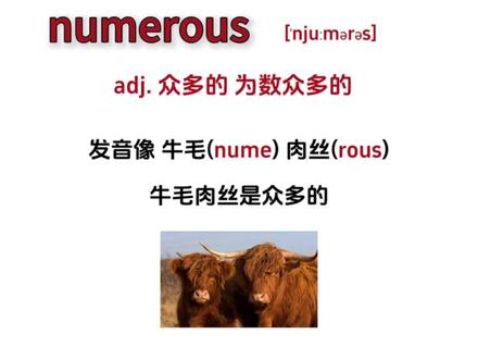巧记单词|numerous #单词速记 #四六级 #英语