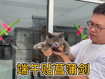 端午习俗贴菖蒲剑,我和老爸不同做法,你会做吗,楼上楼下都贴满 #生活vlog #端午节 #菖蒲 #习俗风俗 #台州椒江 #端午安康 #驱蚊 #地方风俗