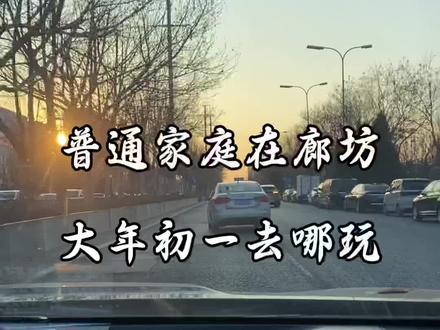 普通家庭在廊坊,大年初一带娃看灯会#灯会文化节 #廊坊#日常vlog