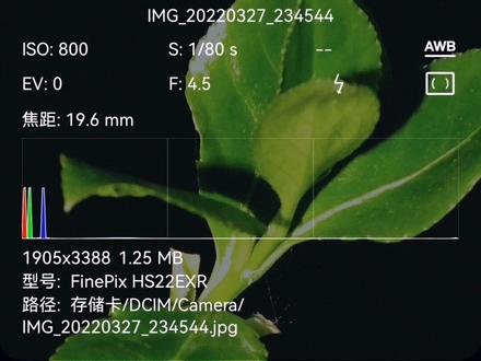 #摄影 #原创 #纯黑背景 #富士相机
数码相机如何拍出纯黑背景照片