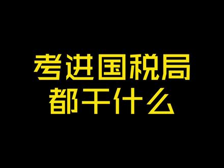考公务员进国税局都干什么?
