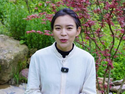 去年种下的植物,今年长的怎么样了,评论区里都发出来看看#我的乡村生活#药用植物#内容启发搜索#三农#中药材