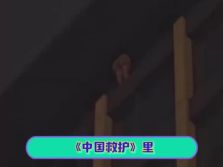 #女孩被造黄谣欲跳楼轻生 生命才是最重要的呀#纪录片中国救护