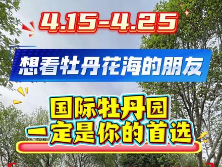 4.15-2.25,洛阳看牡丹这个公园是首选 #洛阳旅游 #洛阳牡丹 #洛阳看牡丹去哪里 #国际牡丹园