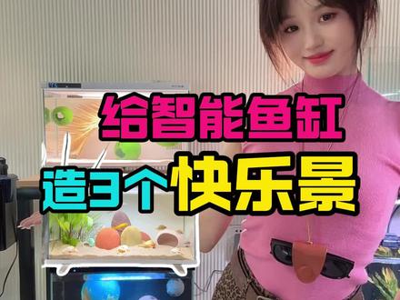智能鱼缸造景 给画法几何、小米鱼缸开3个快乐景,2个用来给迷你鹦鹉带娃,一个养三湖慈鲷,(2种新手友好的鱼,平价好看好玩)简约清新太喜欢了!!!#开缸 #智能鱼缸 ##打造治愈系生态缸 #养鱼日记 #新手养鱼