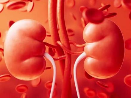 年轻人也要注意:这4种"肾脏杀手"你可能每天吃!