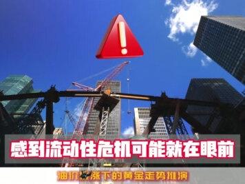 油价暴涨下的黄金走势推演 美以伊的战争在继续,国际金价不仅没涨。反而从5000多美元下跌到4500美元,短短三天跌幅超过10%。过去很多人说战争一响,黄金万两。黄金是避险资产。这下全都不灵了,一切的真相,都藏在细节里。#美伊战争 #原油价格 #财经解读 #宏观经济 #肥八哥讲财经