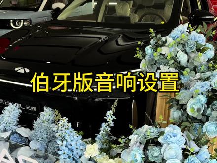 A9L伯牙版音响设置#A9L #买车 #奇瑞汽车