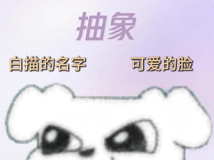 感觉表情包里面没了你们我都不知道怎么聊天了#表情包 #这狗 #多栋 #什么猫 #大鼠