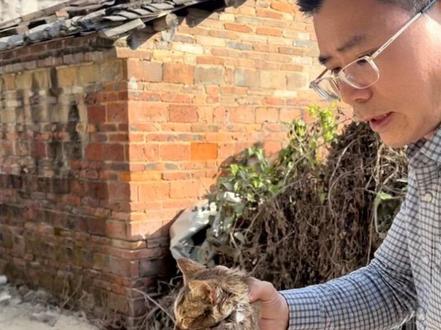 一个月前从东莞带回了两只猫猫,很活泼可爱,邻居家的狗每次看见猫猫就追它们,有一只猫走失后全家人到处找都没有找到,六天后从水管传来猫猫的微弱叫声,发现后第一时间对猫猫进行救援,但最终还是很遗憾,没有救活猫猫!#救助猫猫#猫咪#猫咪去世#可怜猫猫#八叔公老吴