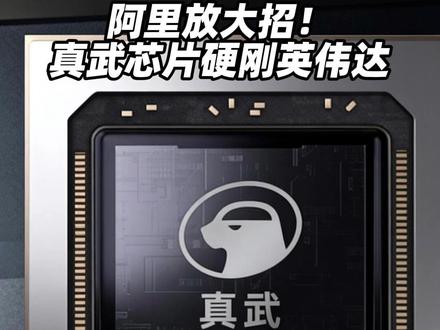 阿里自研AI芯片“真武”亮相 阿里放大招!真武芯片硬刚英伟达!1月29日,阿里平头哥官网上线高端AI芯片真武810E。#阿里 #平头哥 #英伟达