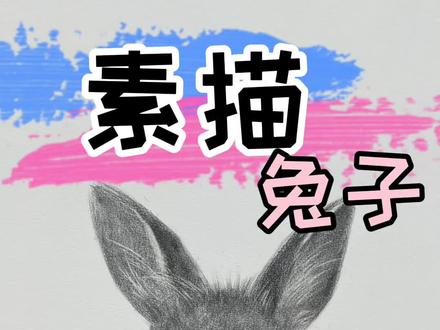 素描兔子🐰#素描 #素描动物 #画画