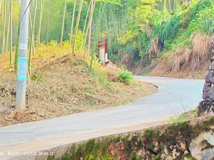2023龙游汽车拉力赛