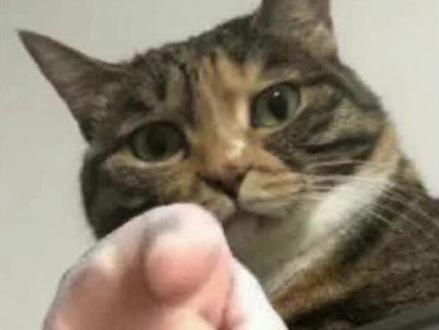 怎么样才能进外企
#留学生就业#外企#就业#求职