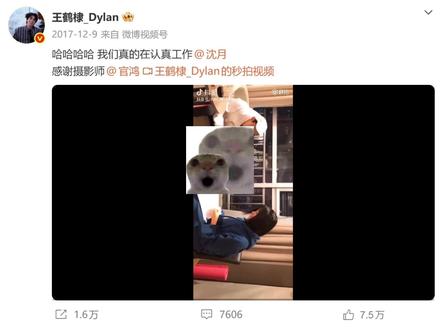 真相反转!当年扯帽子视频竟是沈月主动和王鹤棣拍的 #王鹤棣 #沈月 #王鹤棣沈月 #扯帽子视频 #王鹤棣不舒服文学