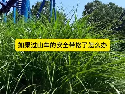 过山车的安全带松了会怎么样?