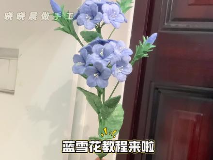 蓝雪花教程来啦🌸🌸🌸 花语:愿我们向往幸福的同时也站在幸福里。#手工教程 #手工花朵 #手工花制作 #扭扭棒 #花语