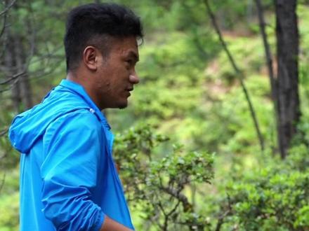 松茸的生长地#松茸 #大自然的馈赠 #野生菌 #我的乡村生活 #新农人计划