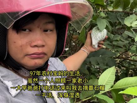 97年的宝妈农村生活、爸爸今天一大早打电话过来叫我来果园摘番石榴、然后爸爸就去摘辣椒🌶️给我拿出去寄、日子过得特别的充实不怕不累、特别的闷热、一干活就出汗、衣服都湿掉、独自一人在家照顾一家老小….#农村生活 #摘番石榴 #农村真实生活 #留守妇女