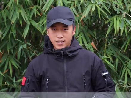裸子植物与被子植物