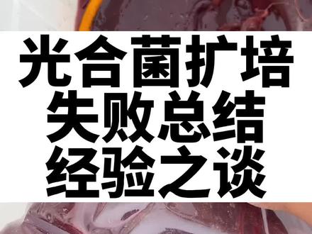 光合细菌扩培注意事项,操作失败原因总结。#敖大虾 #敖云飞 #小龙虾养殖 #养虾人