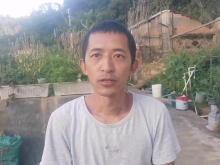 养蜂有补贴了吗?应该怎样才能争取?快进来听一下 #农村创业 #振兴乡村 #返乡创业青年 #农业技术 #农村人