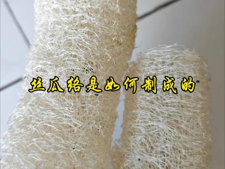 解锁新技能丝瓜络的制作