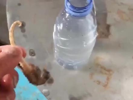 后知后觉,哈哈#搞笑 #万万没想到 #每日一笑