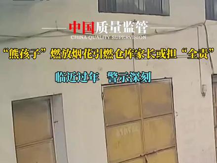 警示!“熊孩子”放烟花引燃仓库家长或担“全责”#安全 #平安守护 #中国质量监管