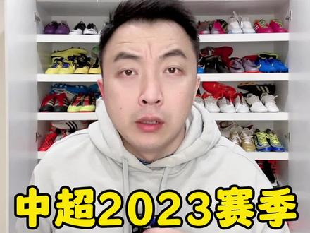 中超2023赛季最佳阵容 #中超最佳阵容 #中超 #王大雷 #武磊 #费莱尼