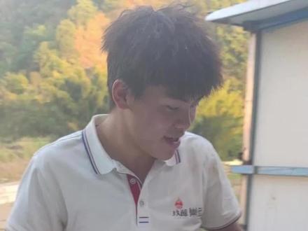 #诱蜂泡沫箱 小材也有大作用