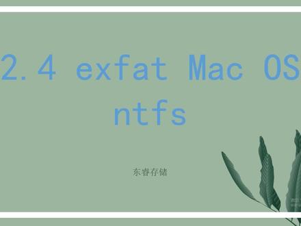 【东睿存储】硬盘分区格式:exFAT、NTFS、Mac OS@抖音小助手 @DOU+小助手#硬盘 #格式 #exfat #ntfs #macos #计算机