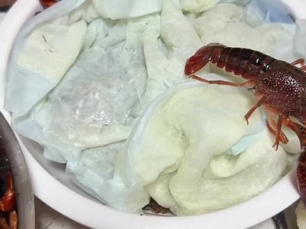 冰箱养活了小龙虾20小时,实测有效的鲜活小龙虾保存方法 #小龙虾保存 #小龙虾保存方法 #小龙虾小龙虾吃起来