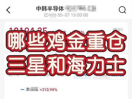 那些鸡金重仓三星和海力士❓️ #三星 #海力士 #中韩半导体 #基金科普 #存储芯片