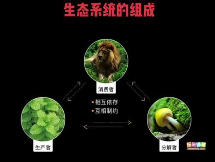 生态系统的组成,必考题。拿走#生物 #生物多样性 #生物小中考