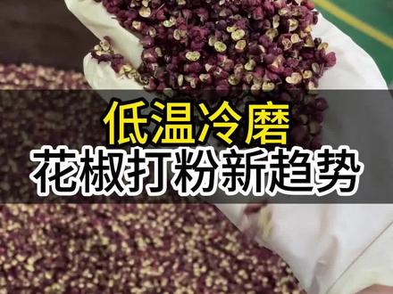 你还在用老式粉碎机给花椒打粉吗?小编带你解锁两种磨粉设备#工厂实拍视频 #车间加工 #花椒 #花椒加工 #助力三农