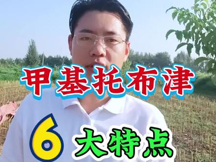甲基托布津六大特点,甲基托布津和甲基硫菌灵的作用和用途!#甲基托布津 #甲基硫菌灵 #万能杀菌剂 #甲基硫菌灵的作用 #农技知识分享