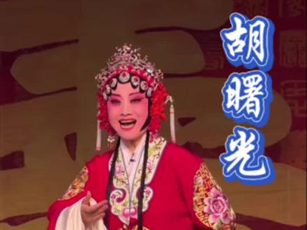 一提起想当年杀敌英勇#五世请缨 #胡曙光豫剧 #山东省济宁市嘉祥县纸坊镇隋庄村