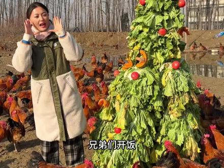 今天给鸡做个蔬菜圣诞树,咱家的鸡也算是撸上串了#喂鸡新方式 #我的农村生活