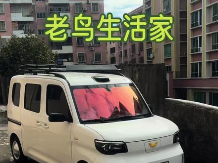 五菱之光EV内饰板拆除详细篇·老鸟生活家
#五菱之光EV #五菱之光ev改装 #自由之光春日赏花