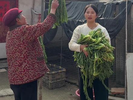 腊菜的腌制方法特别简单#腌咸菜 #乡村生活 #好物分享 #好物推荐