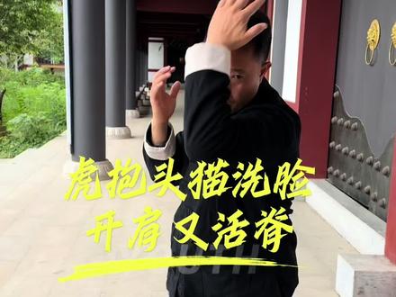 猫洗脸虎抱头#心意拳#养生 #锻炼 #宣传正能量