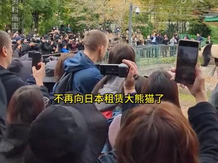 日本马上要没有大熊猫了,最后2只旅日大熊猫即将回国