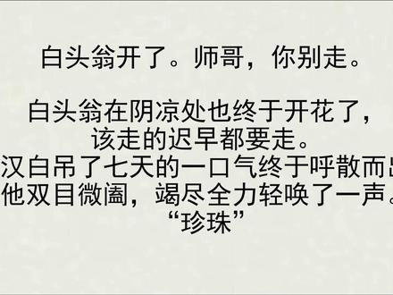 碎玉投珠真正的结局#碎玉投珠 #丁汉白 #北南 #纪慎语