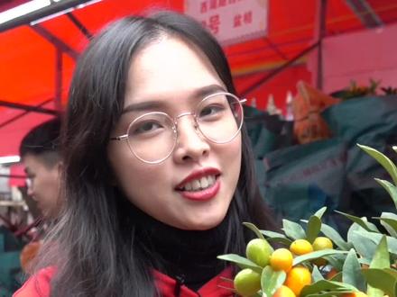 金桔这么选才对,带你玩转广州花市#花式过大年