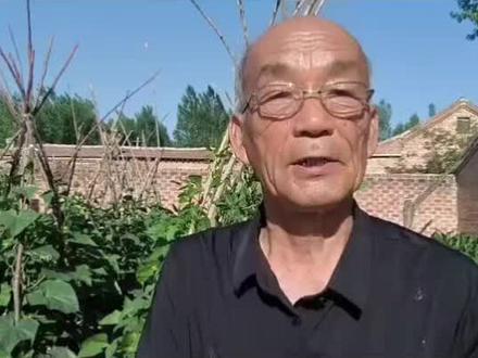 重茬种植辣味作物的问题 种过辣味作物的地里能不能再种辣味作物#重茬