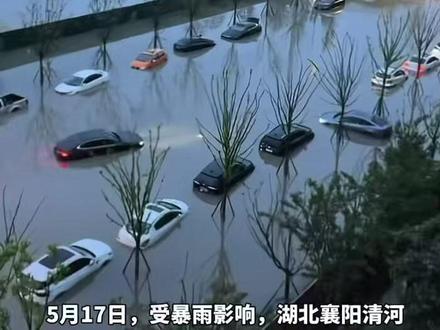 湖北襄阳一路段受暴雨影响出现内涝,多辆轿车被淹
